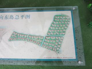 向东岛花园