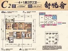 玉林彰泰城舒悦居 C2户型户型图