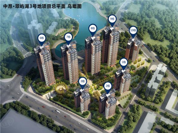效果图