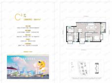 万科城C2户型户型图