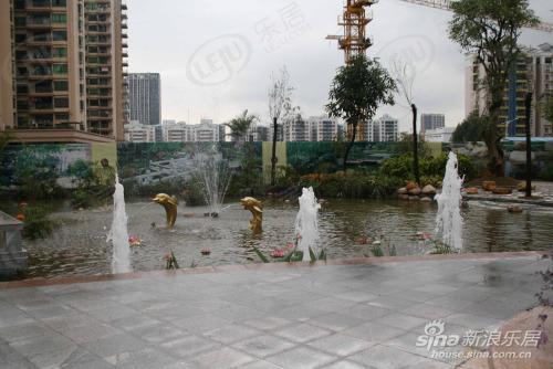 社区实景