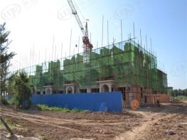 建新梧桐墅社区实景