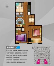芜湖万达中心精装SOHO A户型两室两厅一卫户型图