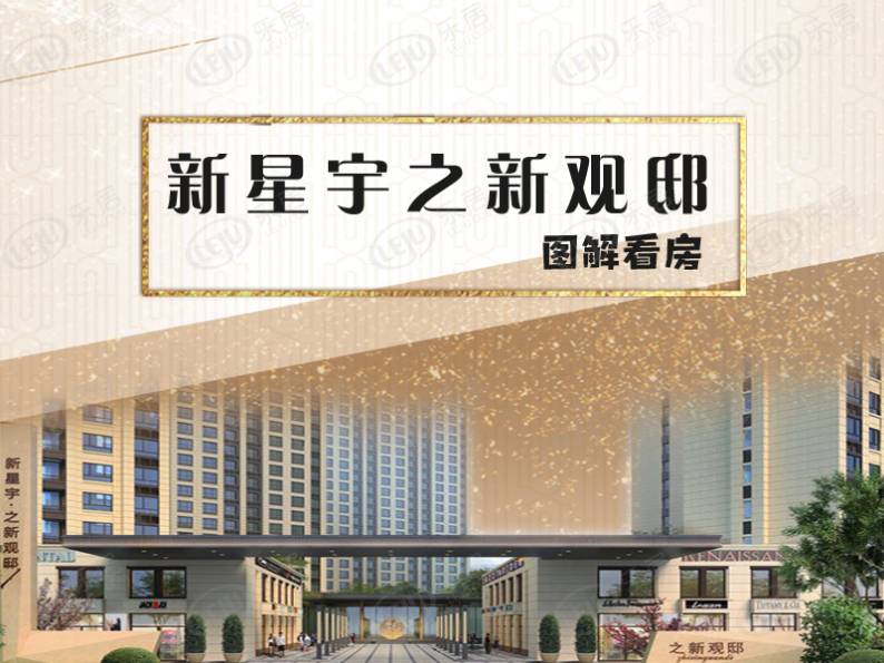 新星宇之新观邸 图解看房