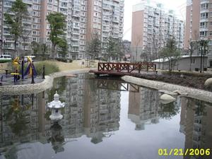 社区实景