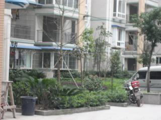 紫苑学府