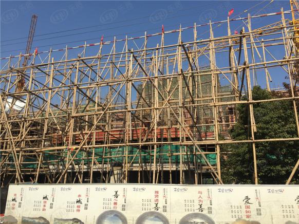 社区实景