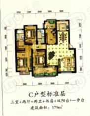 建新梧桐墅3室2厅2卫户型图