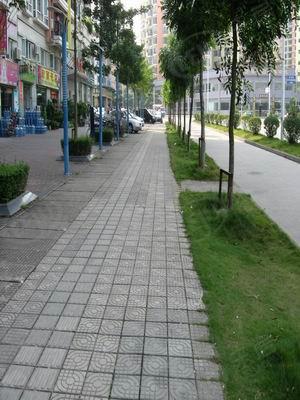 社区实景