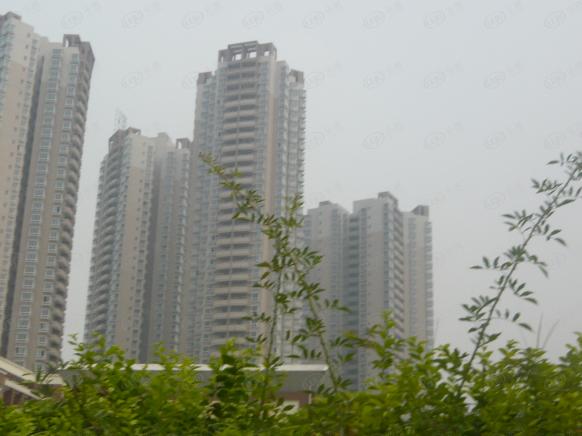社区实景