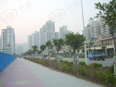 社区实景