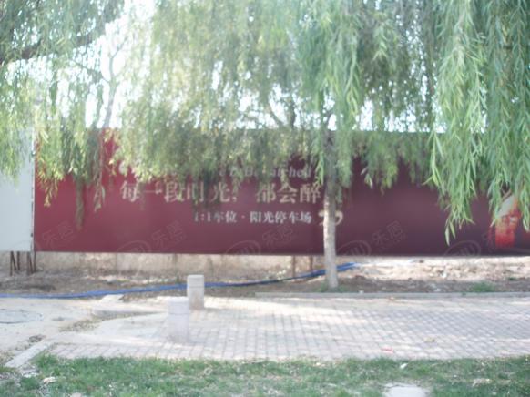 效果图