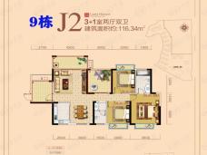 半山首府9栋J2户型户型图