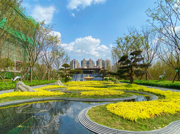 社区实景