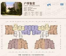 新世纪颐龙湾3室2厅2卫户型图