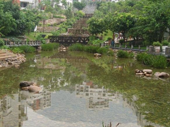 社区实景