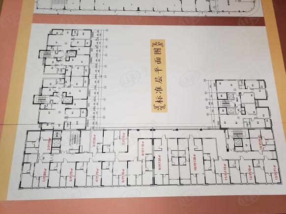 楼层平面图