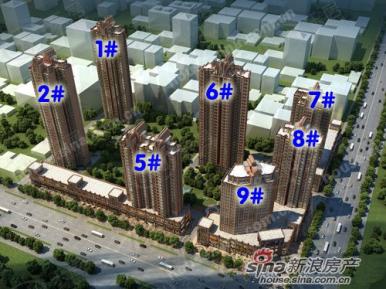 明大拉斐国际