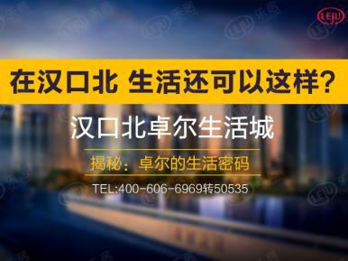 汉口北卓尔生活城