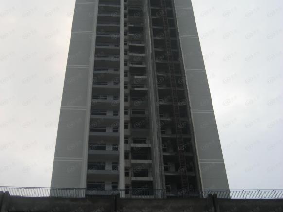 社区实景