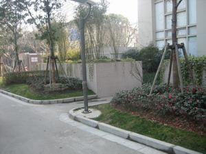 社区实景