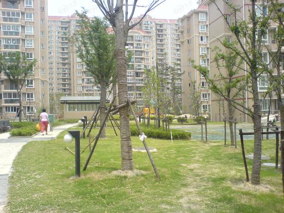 社区实景