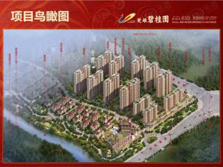 楚雄碧桂园