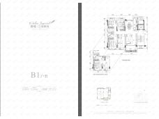 国瑞江南御府B1户型户型图