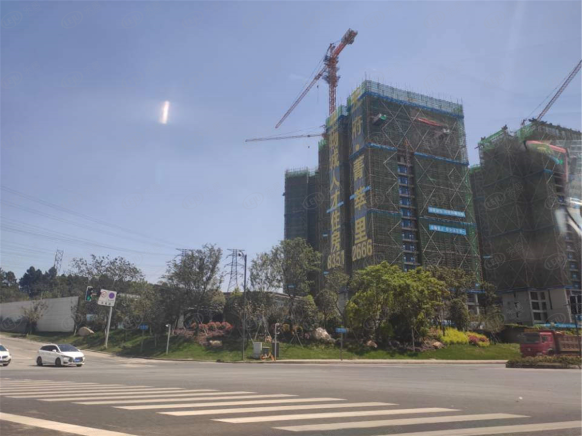 社区实景