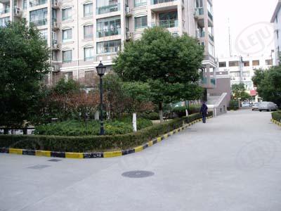 社区实景