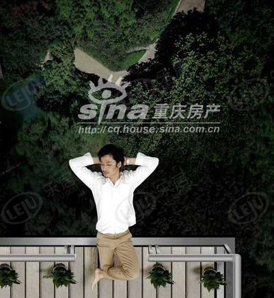 效果图