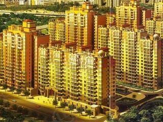 丽景金街