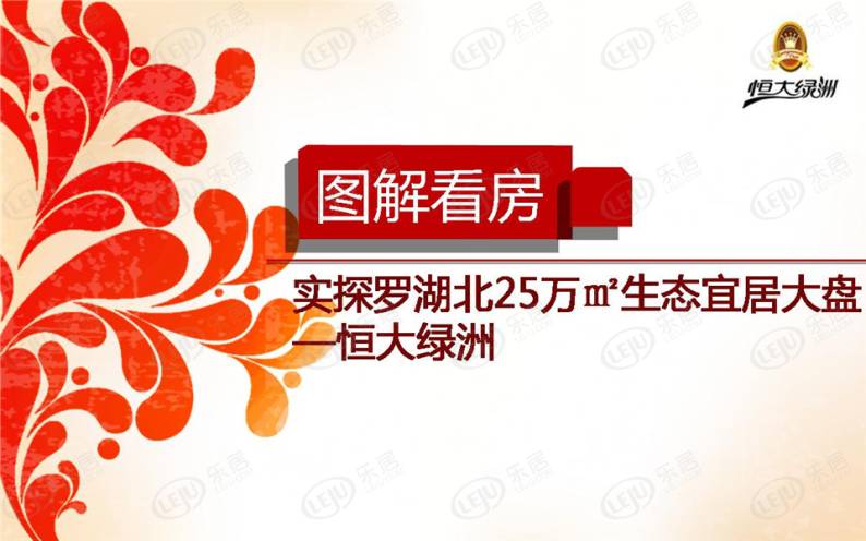 恒大绿洲 图解看房