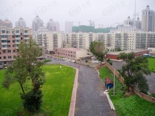 黄河绿园小区