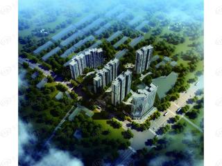 中基学府
