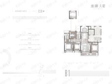 龙湖·天曜4室2厅2卫户型图