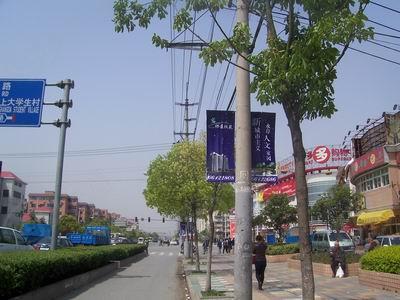 效果图