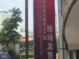 紫荆岁月