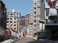 东环国际花园