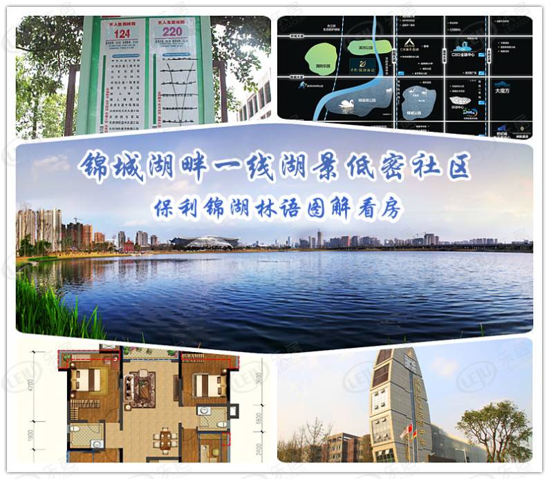 保利锦湖林语 图解看房