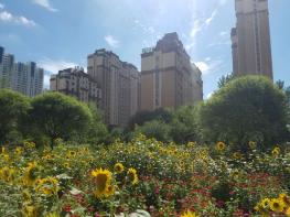 盛达国际新城社区实景