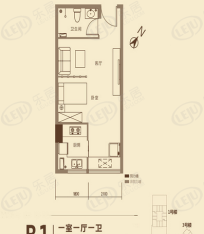 京都国际1室1厅1卫户型图