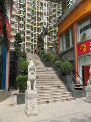 社区实景