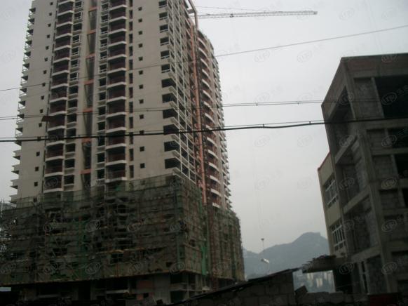 社区实景