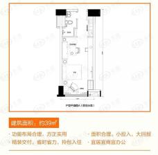 招商城市主场1室1厅1卫户型图