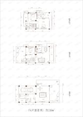 远大林语城F4，约238平米户型图