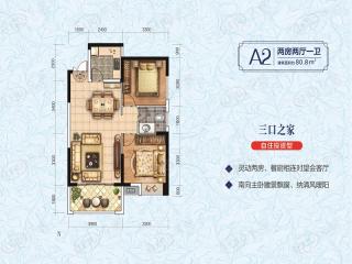 岳阳中梁望岳府A2户型图