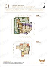 龙湖拉特芳斯C1户型户型图