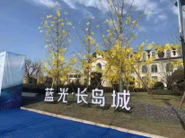 蓝光长岛城