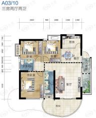 蓝海豪景A栋03、10户型户型图